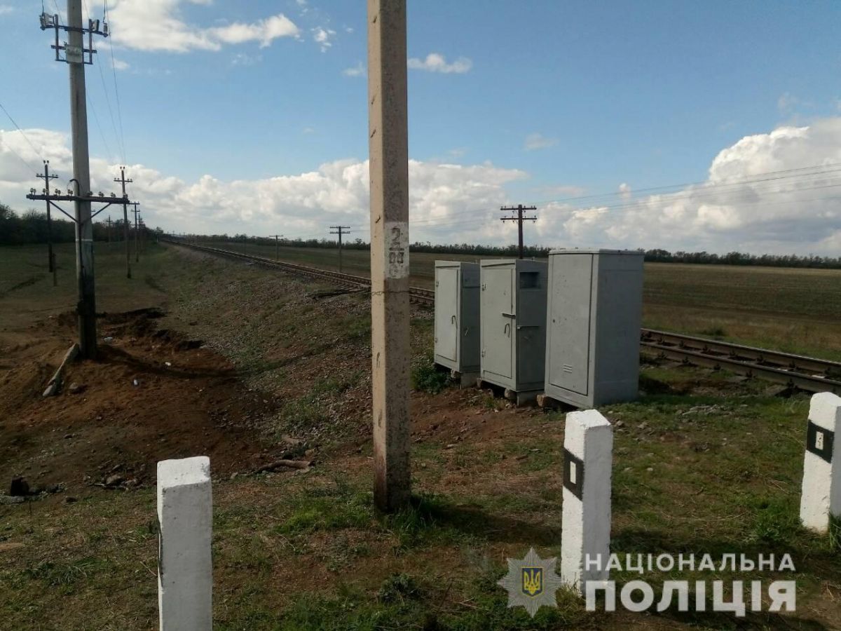 Движение поездов пришлось ограничить. Фото: zp.npu.gov