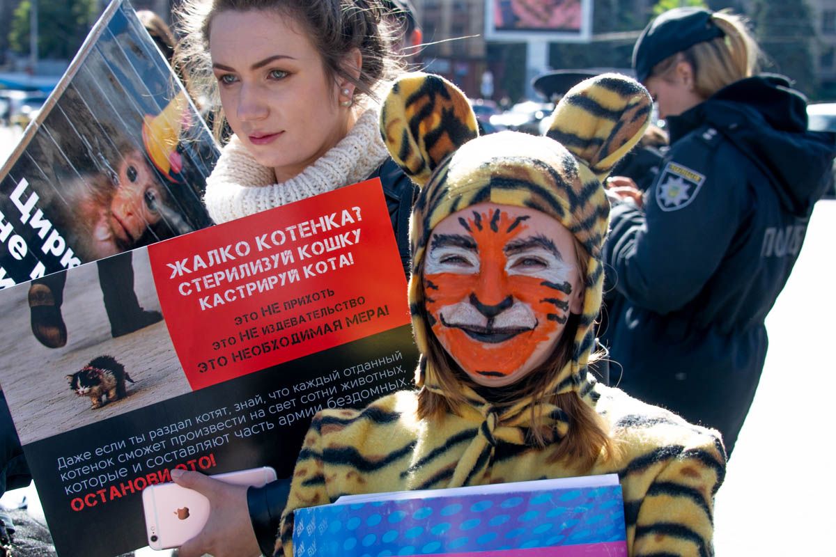 Фото: Информатор