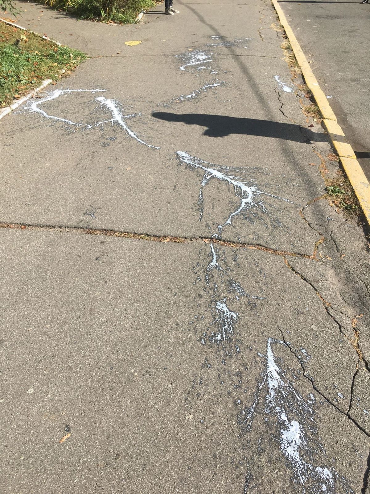 Под МВД журналистку облили кефиром. Фото: 
