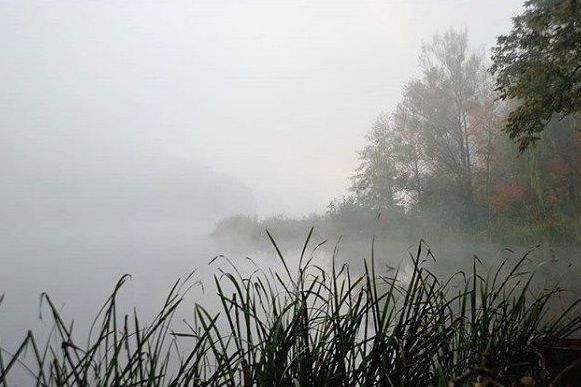 Туман в Житомирі. Фото: usenko.yury/Instagram
