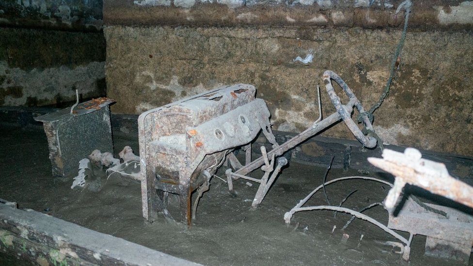 Фото: Букингемский дворец