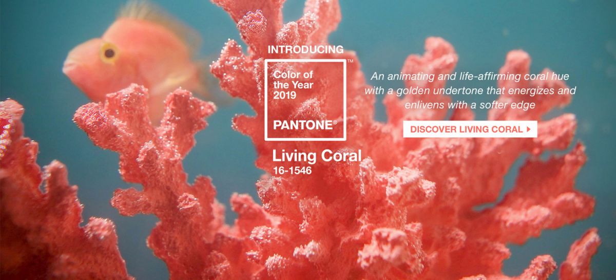 &copy; Pantone
