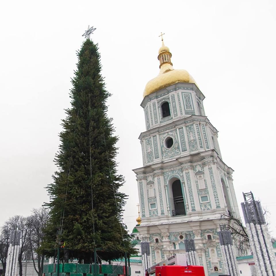 Высота елки составляет 25 м без верхушки и 27 м вместе с ней.