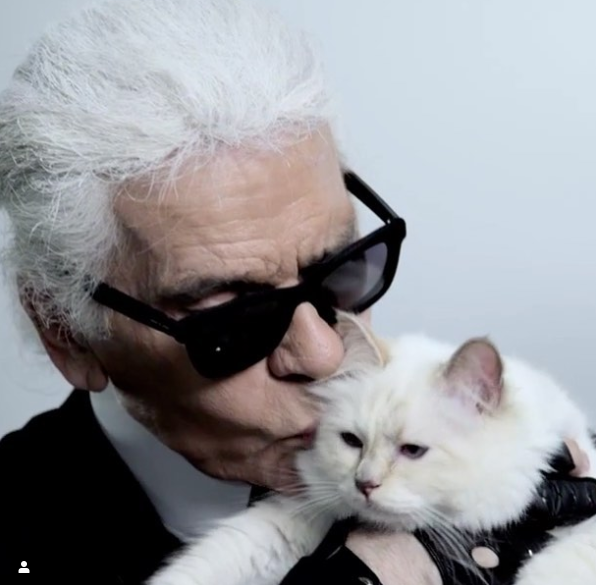 Фото: instagram.com/choupettesdiary