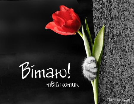 Привітання з 8 березня. Листівка: krainau.com
