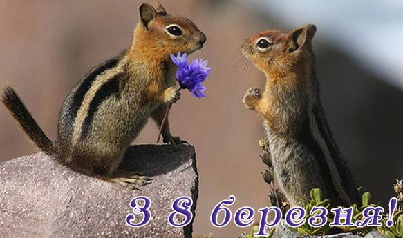 Привітання з 8 березня. Листівка: krainau.com