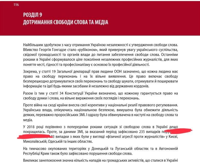 Доклад Денисовой о свободе слова. Скриншот facebook/Томиленка