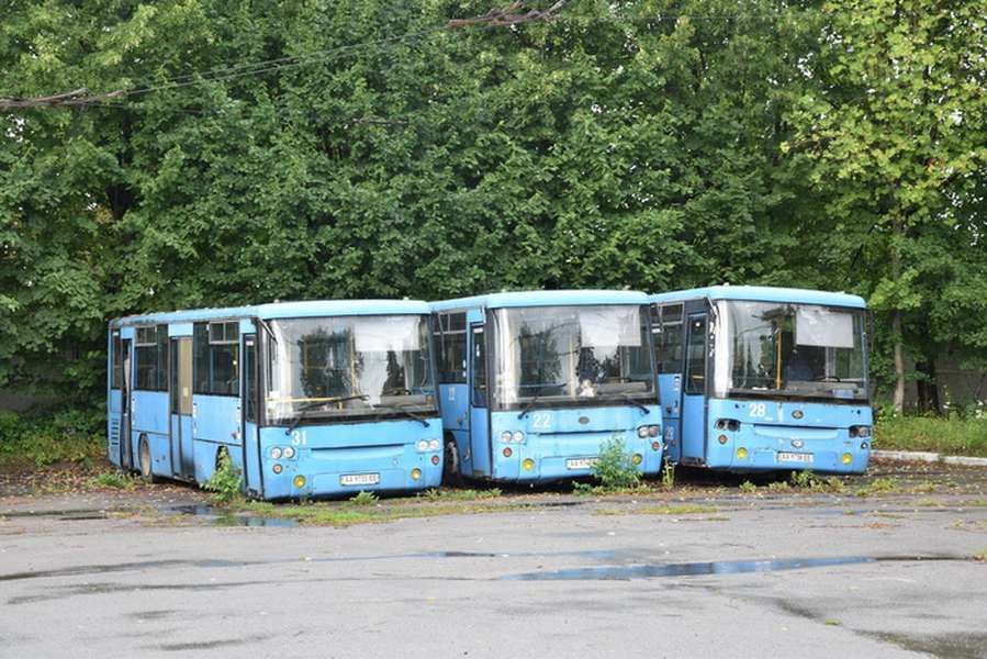 Автобусы 
