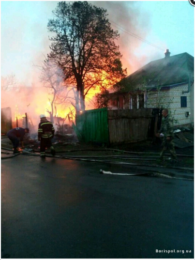 Пожежа під Борисполем. Фото: Рух Борисполя.