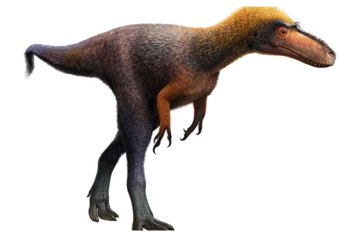 Ученые обнаружили мини-копии тираннозавров