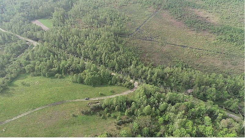 Ураган зніс ліс в Житомирській області. Фото: прес-служба Житомирського ОУЛОХ