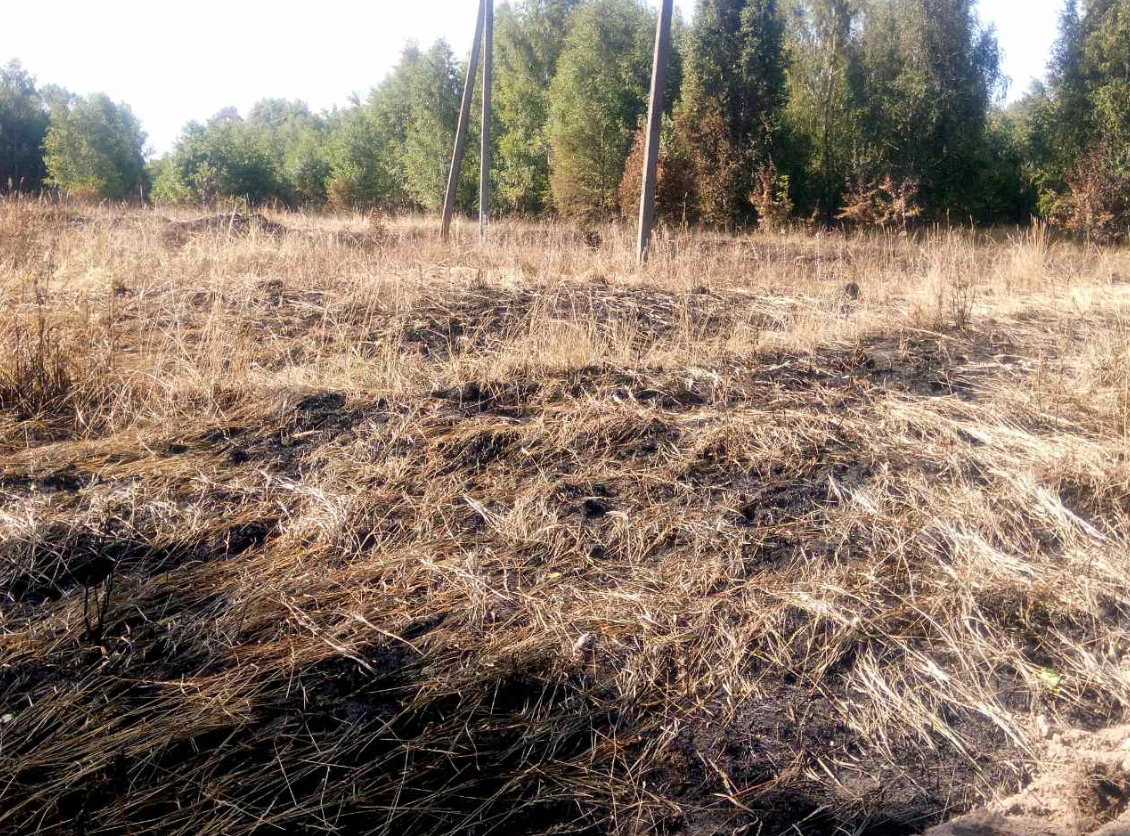 Пожежа у Чорнобильській зоні. Фото: Держнс
