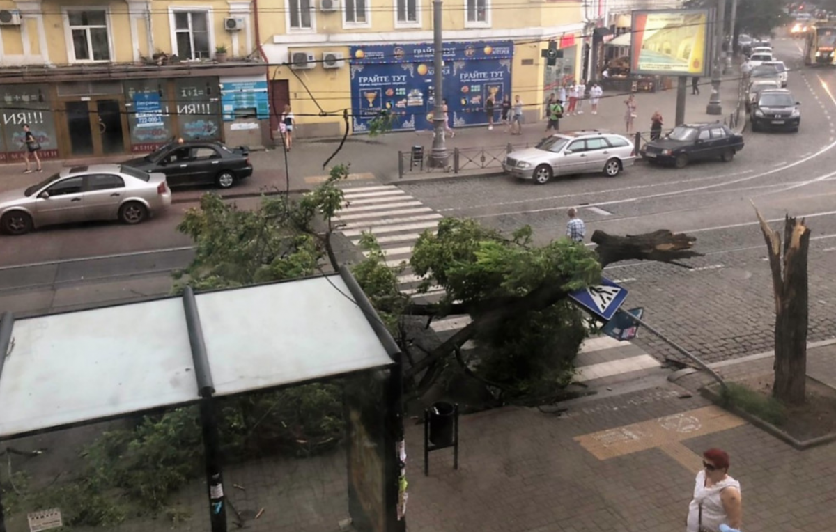 Повалені дерева в Одесі. Фото: Думська