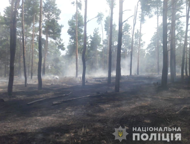 Пожежа у лісі в Херсонській області