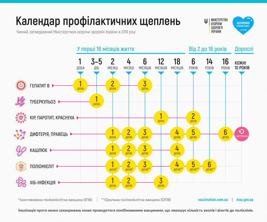 Календарь профилактических прививок 