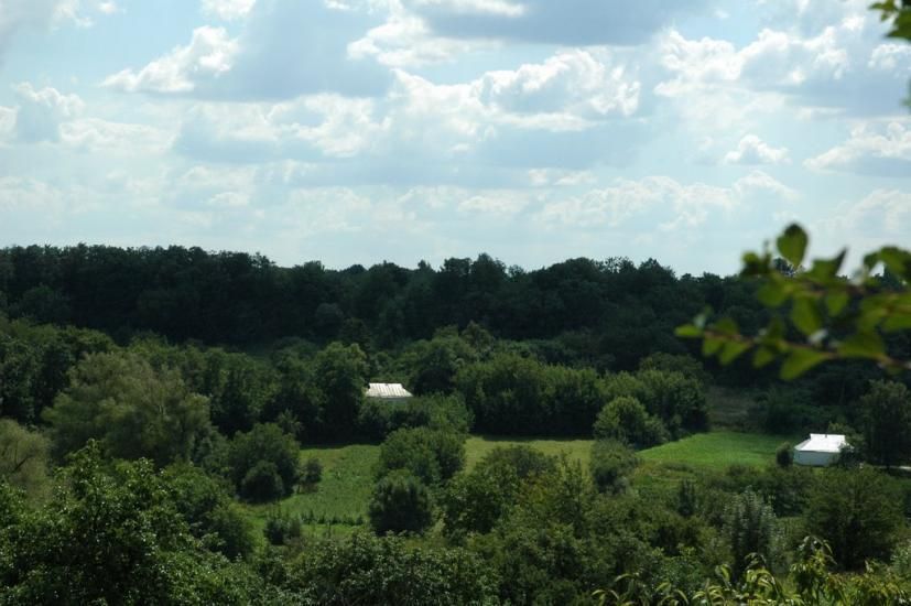 Село Моринцы возле которого произошло преступление. Фото: 1ua.com.ua