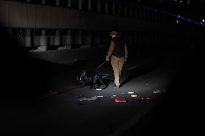 Фото: МВД