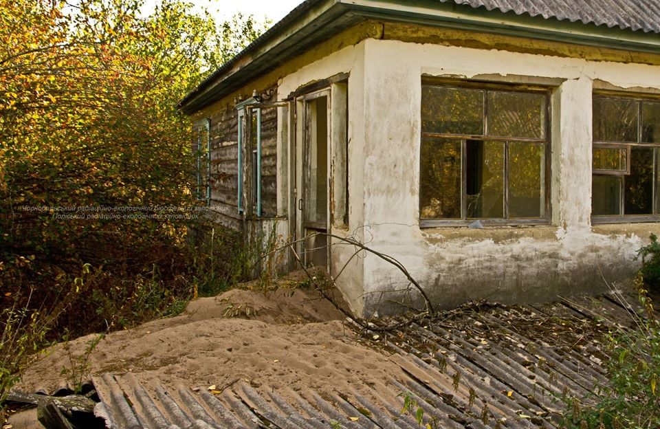 Фото: Чернобыльский радиационно-экологический биосферный заповедник