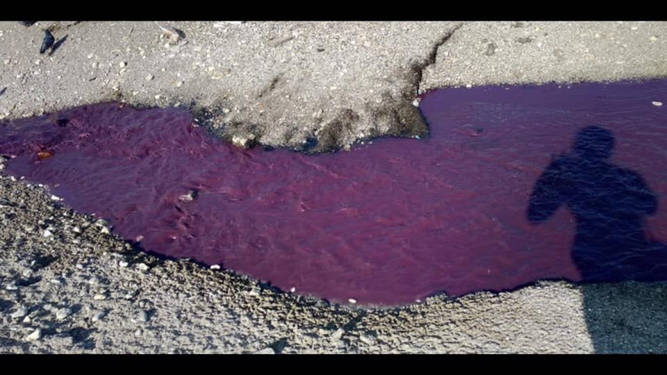За його словами, біля моря стоїть фекальний запах. Також чоловіків опублікував доказ фото і відео.