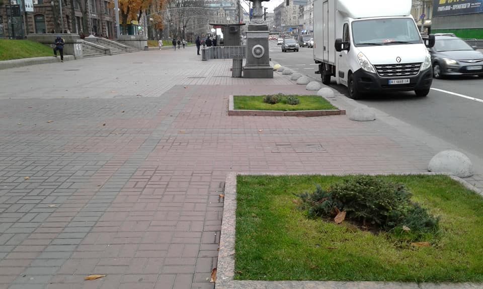 Ялівець замість каштанів на Хрещатику. Фото: Ірина Ковальчук/Facebook