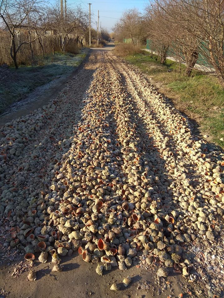 Ремонт дороги ракушками. Фото: facebook.com/Alla  Kalinskaya