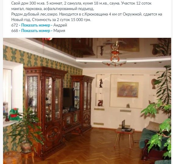 Аренда дома на Новый год в Киеве. Фото: OLX