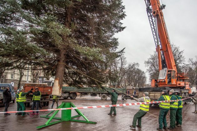 Головна ялинка Львова. Фото: Дивись info