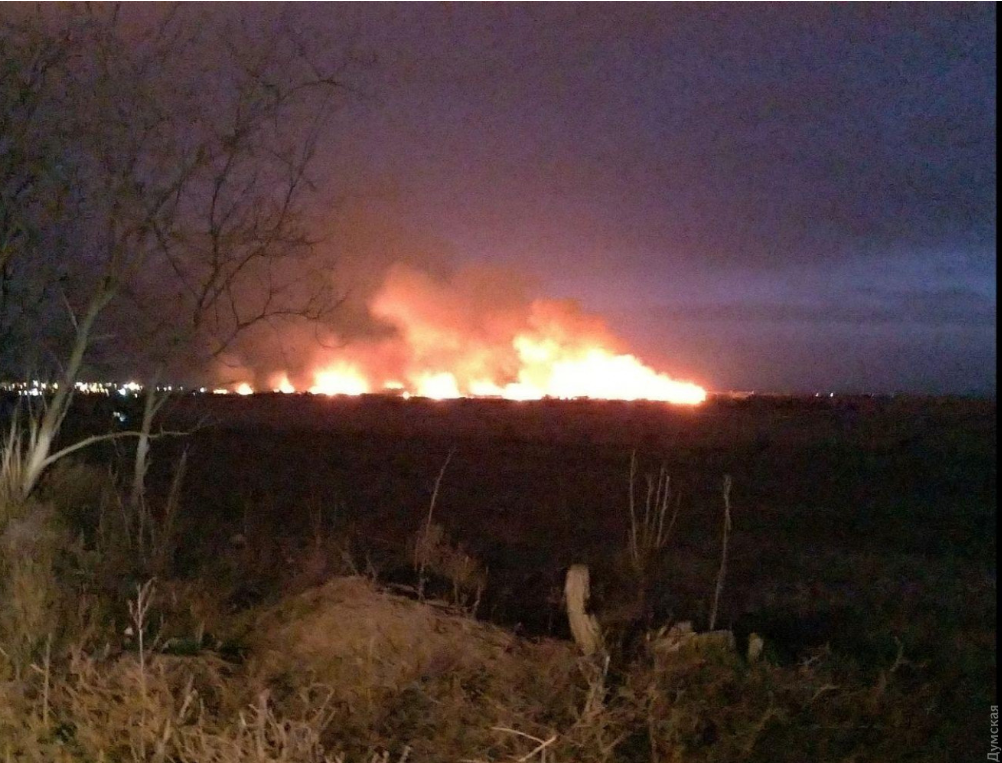 Масштабне загоряння у Нижньодністровському національному парку