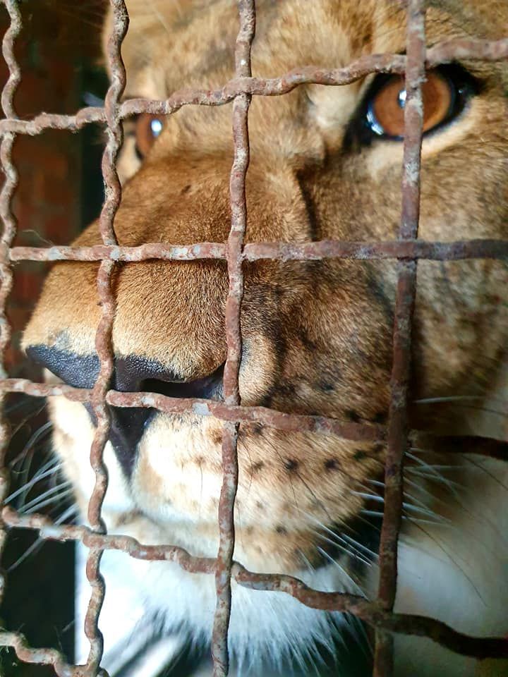 Фото:facebook.com/anya.masyach
