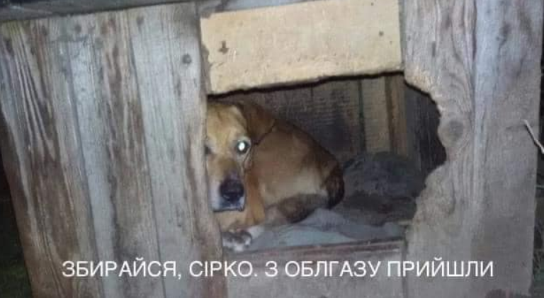 Мем о 
