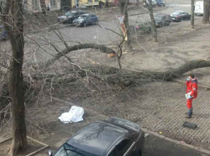 Пенсионерка погибла из-за падения дерева в Одессе. Фото: Думская