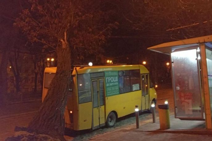 Дерево упало на автобус. Фото: Днепр час