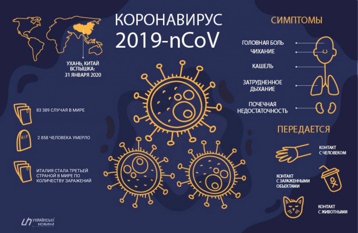 Коронавирус распространился в Италии. Инфографика
