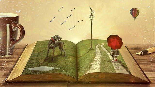 Читать. Фото: Pixabay