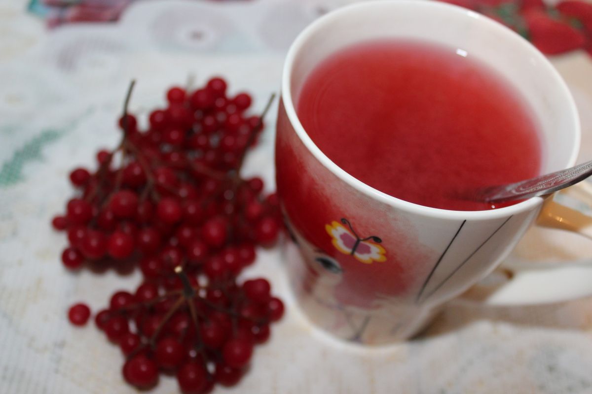 Калиновий чай. Фото: pixabay