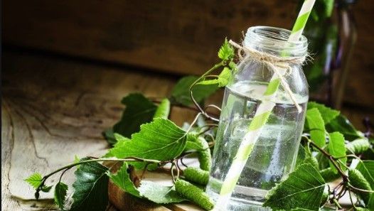 Березовый сок. Фото: agrostory.com