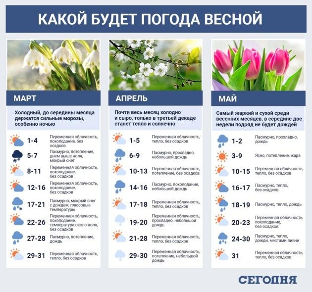 Прогноз погоды на апрель от народного синоптика.
