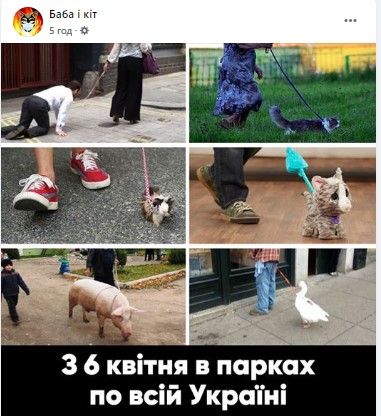 Имитация выгула собаки на карантине 