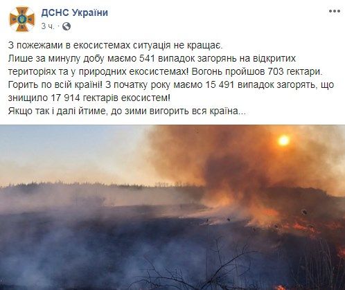 Людей призвали не жечь сухую траву