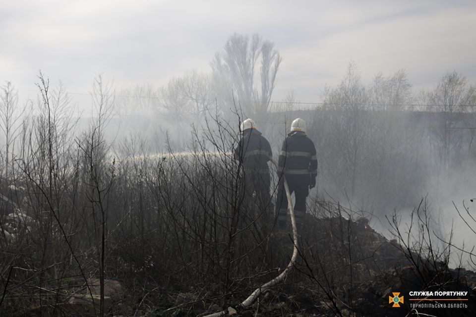 Пожарные борются с огнем в Тернополе. Фото: ГосЧС