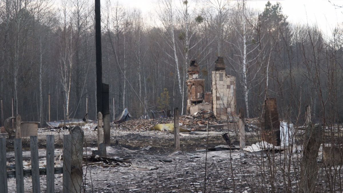 Последствия пожаров в Житомирской области
