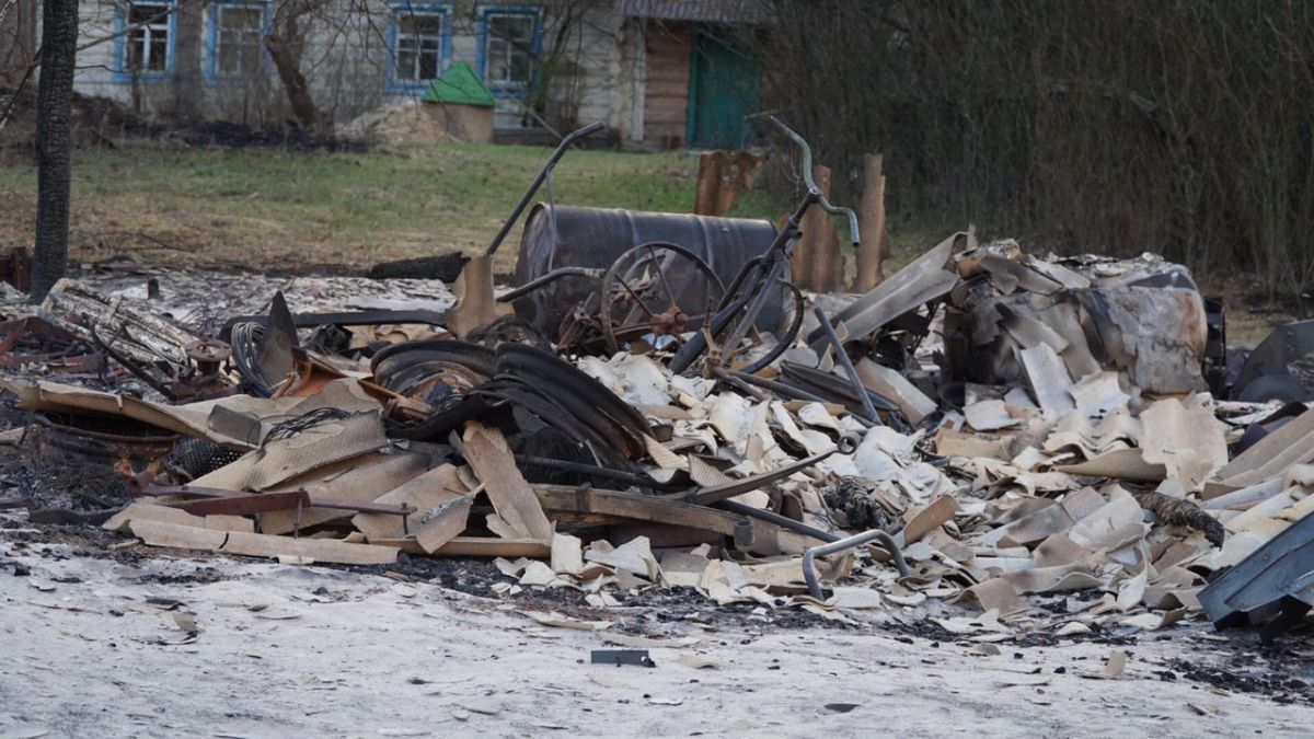 Пожары в Житомирской области. Фото: Нацкорпус