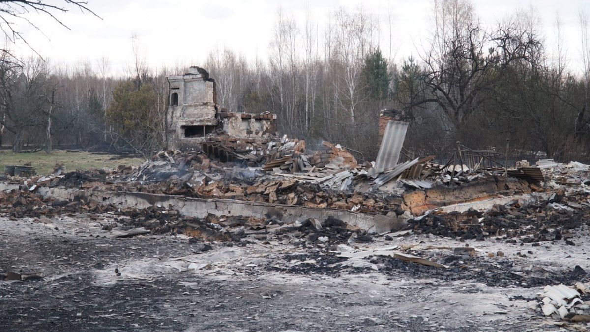 Пожары в Житомирской области. Фото: Нацкорпус