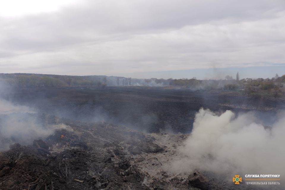 Пожар очень быстро ширится. Фото: ГосЧС