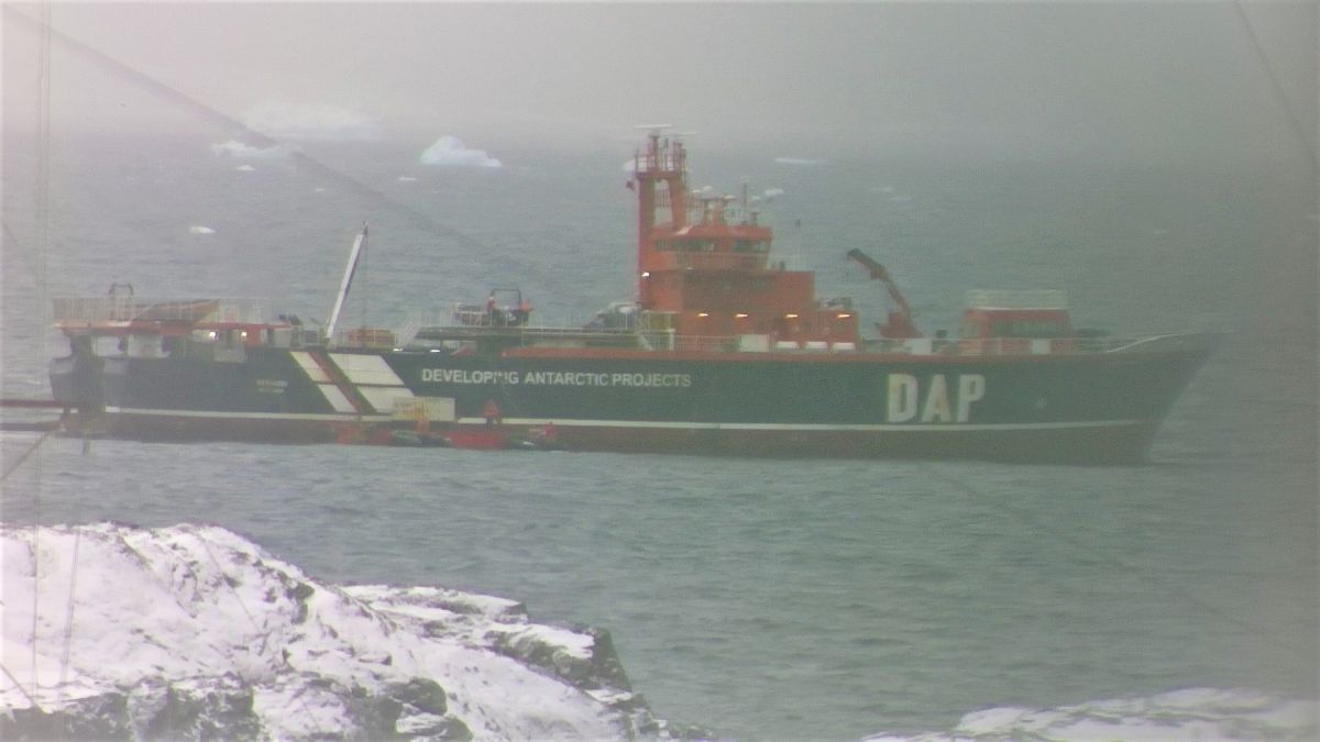 Прибытие 25-й УАЭ в Антарктиду. Фото: facebook.com/AntarcticCenter