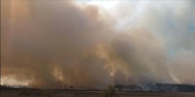 Пожежа під Києвом. Скріншот відео 