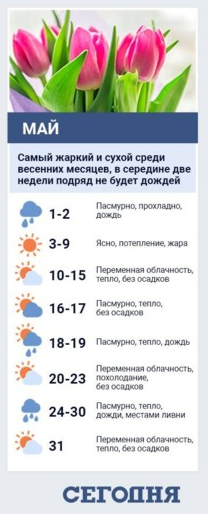 Прогноз погоды в Украине в мае от народного синоптика.