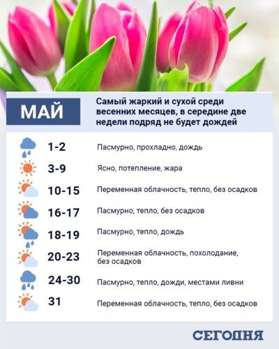 Прогноз погоды на май  по расчетам народного синоптика Леонида Горбаня.