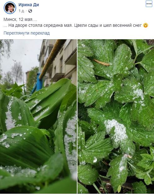 Снег выпал в Минске. Фото Facebook Ирина Ди