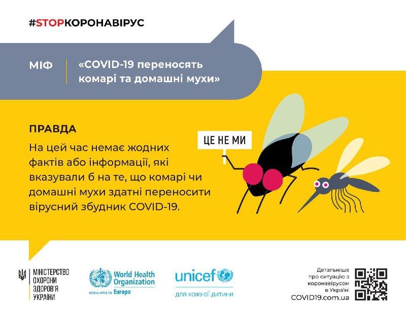 Міф про коронаиврусе і комарів. Інфографіка: Моз